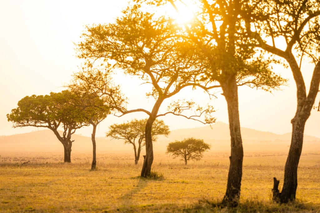 Sabora Tented Camp 16