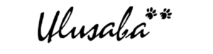 Ulusaba Logo